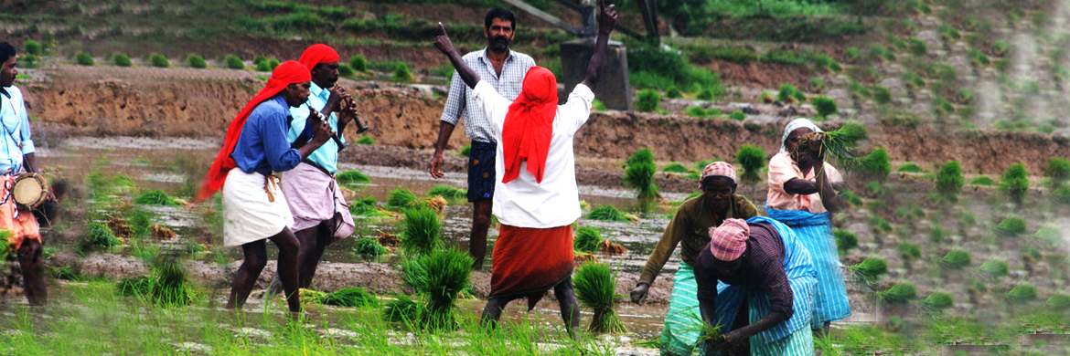 ravula web slider 1.JPG